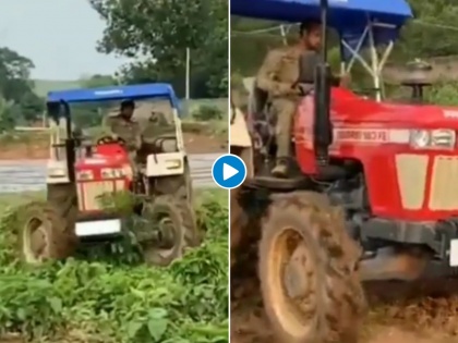 MS Dhoni doing organic farming in his Ranchi farm house, watch video | Video : शेतात काम करताना दिसला महेंद्रसिंग धोनी; चाहते म्हणाले, वाघ आता म्हातारा झाला!