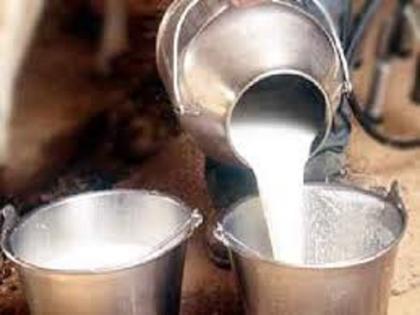 Notification on sale of Savdei Milk Union: Illegal sale case for land | सावेडी दूध संघाच्या जागा विक्रीप्रकरणी नोटिसा : जागेची बेकायदेशीर विक्री प्रकरण