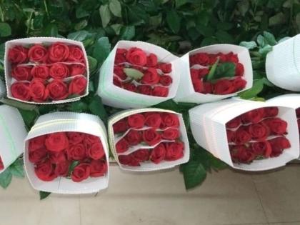 big market for rose of dhule in delhi | धुळ्याच्या ‘गुलाबा’ची दिल्लीकरांना ‘भुरळ’