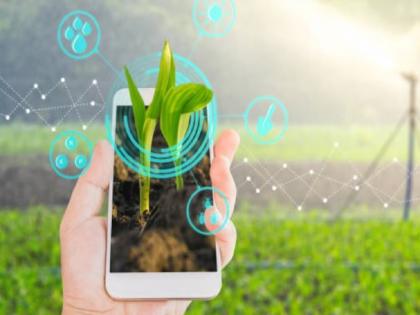 Digital Agriculture Mission, Centre Approves Rs 2,817 Crore | काय आहे डिजिटल कृषी मिशन? ज्याला सरकारनं दिली मंजुरी; शेतकऱ्यांना होणार मोठा फायदा!