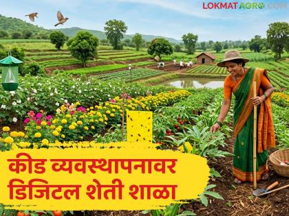 Digital Farming School to be organized on April 15 on eco-friendly pest management; How to participate? | पर्यावरणपूरक कीड व्यवस्थापनावर १५ एप्रिलला डिजिटल शेती शाळेचे आयोजन; कसे व्हाल सहभागी? Digital Farming School to be organized on April 15 on eco-friendly pest management; How to participate? | पर्यावरणपूरक कीड व्यवस्थापनावर १५ एप्रिलला डिजिटल शेती शाळेचे आयोजन; कसे व्हाल सहभागी?