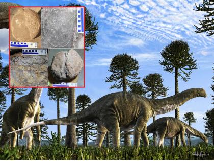 OMG! Giant dinosaurs existed in India; Fossils of 256 eggs found in Narmada basin | OMG! भारतात होते महाकाय डायनासोरचे अस्तित्व; नर्मदा खोऱ्यात सापडले 256 अंड्यांचे जीवाश्म