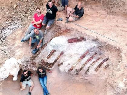 Abba! 'Dinosaur' found in backyard, skeleton assembled and in pristine physical condition | Dinosaur: अबब! घराच्या अंगणात सापडला ‘डायनासोर’, सांगाडा एकत्र आणि मूळ शारीरिक स्थितीत