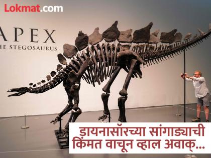 Ken Griffin Pays $45 Million for a biggest dinosaur skeleton | 'या' अब्जाधीशाने खरेदी केला डायनासॉरचा सांगाडा, किंमत वाचून बसेल धक्का!