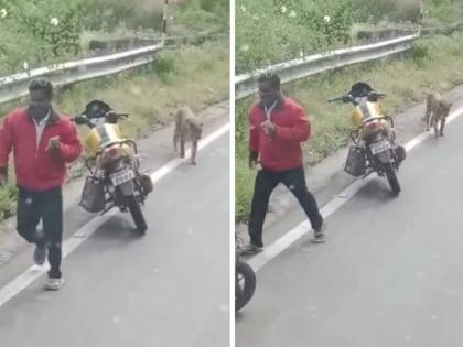 Pretty much walked in front of the bike A leopard was spotted in Saswad Dive Ghat | Video: चक्क दुचाकीसमोर चालत आला; सासवडच्या दिवे घाटात बिबट्या दिसला