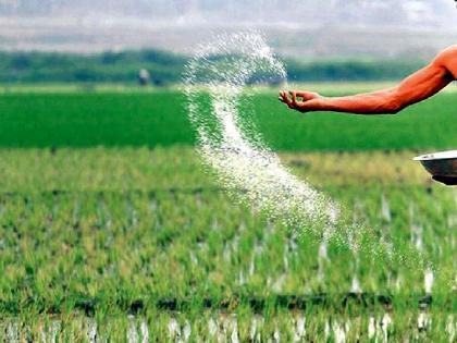 demand of Urea rises as supply get less than demand; selling at high prices | मागणी वाढताच युरियाची बोंबाबोंब; पिके वाढीवर, मागणीच्या तुलनेत पुरवठा कमी