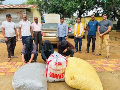 Ganja worth 14 lakh seized from Chhattisgarh, three arrested; 21 lakh worth of goods including the car seized | छत्तीसगडहून आलेला १४ लाखांचा गांजा जप्त, तिघांना अटक