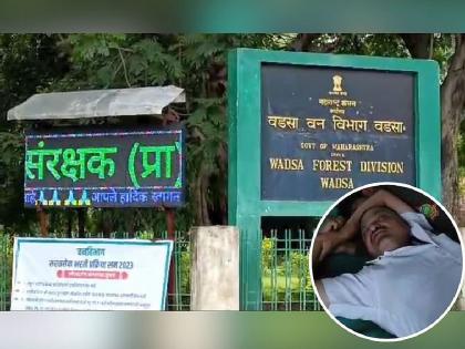 The forest staff got drunk in the nursery, both of them got suspended | रोपवाटिकेतच वनकर्मचारी तर्रर्र... दोघांना निलंबनाचा दणका