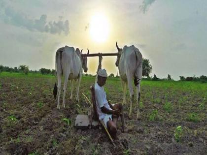 42 percent less rainfall in 13 taluks except Chandurbazar, Possibility of water shortage | पोटात आग, जमिनीच्या अन् शेतकऱ्याच्याही; चांदूरबाजार वगळता १३ तालुक्यात ४२ टक्के कमी पाऊस