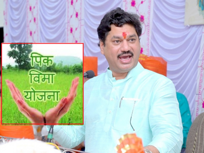 Provide 25% advance assistance to all crops under crop insurance in Beed district; Dhananjay Munde | बीड जिल्ह्यात पीकविमाखालील सर्व पिकांना २५ % अग्रीम मदत द्या; धनंजय मुंडे