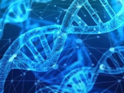 Why is the experiment to create human DNA becoming controversial? | मानवी ‘डीएनए’ बनवण्याचा प्रयोग का ठरतोय वादग्रस्त? Why is the experiment to create human DNA becoming controversial? | मानवी ‘डीएनए’ बनवण्याचा प्रयोग का ठरतोय वादग्रस्त?