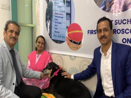 First surgery on obese dog in India! Weight loss was 5 kg | भारतात लठ्ठ श्वानावर पहिलीच शस्त्रक्रिया! वजनात तब्बल पाच किलोनं झाली घट