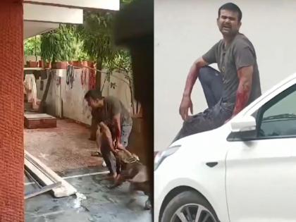 Save Save Two Pitbulls dog Attack Delivery Boy Watching the VIDEO will make you shudder | "वाचवा वाचवा..."! दोन पिटबुल कुत्र्यांचा डिलिव्हरी बॉयवर हल्ला, केल रक्तबंबाळ; VIDEO पाहून थरकाप उडेल