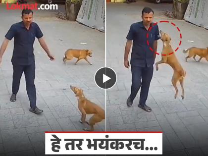 Dog Attack Mumbai: बिबट्यासारखी उडी आणि खांदा पकडला जबड्यात; मुंबईत भटक्या कुत्र्याचा सुरक्षारक्षकावर हल्ला, Video पहा - Marathi News | Dog Attack Mumbai: Leaping like a leopard and grabbing the shoulder in its jaws; Stray dog attacks security guard in Mumbai, watch video | Latest maharashtra News at Lokmat.com Dog Attack Mumbai: बिबट्यासारखी उडी आणि खांदा पकडला जबड्यात; मुंबईत भटक्या कुत्र्याचा सुरक्षारक्षकावर हल्ला, Video पहा - Marathi News | Dog Attack Mumbai: Leaping like a leopard and grabbing the shoulder in its jaws; Stray dog attacks security guard in Mumbai, watch video | Latest maharashtra News at Lokmat.com