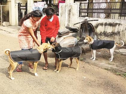 ‘Fit hai Boss ... stay in style ...’ Dogs are walking around in a black jacket | ‘फिट है बॅास...स्टाईल में रहने का...’ काळ्या जाकीटमध्ये ते फिरताहेत ऐटीत