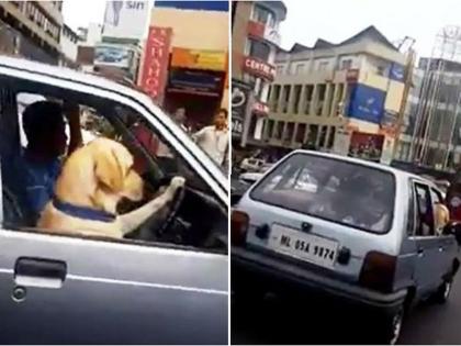 Shillong dog driving car video goes viral on social media | कुत्र्याने भर ट्रॅफिकमध्ये चालवली कार, व्हायरल व्हिडीओ पाहून व्हाल थक्क!