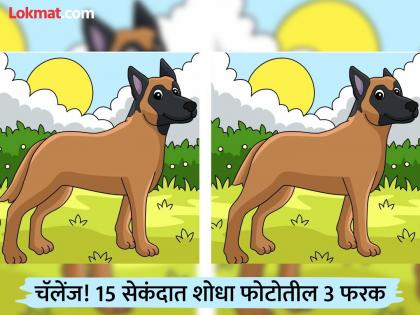 Challenge! Find three differences in a dog photo in 15 seconds, if you find them you will be a genius | चॅलेंज! 15 सेकंदात शोधा कुत्र्याच्या फोटोतील तीन फरक, शोधाल तर ठराल जीनिअस
