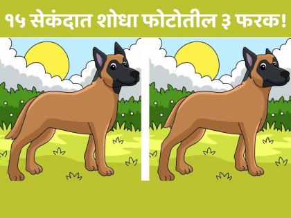 Optical Illusion : Spot 3 Differences In Dog Image Within 15 Seconds | 15 सेकंदात शोधून दाखवा फोटोतील तीन फरक, बरेचजण झालेत फेल!