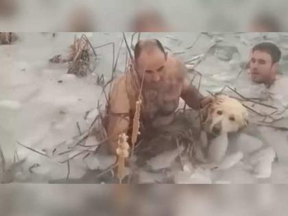 two police saves life of dog who stuck in frozen river video goes viral on internet | कुत्र्याला वाचवण्यासाठी बर्फाळ नदीत पोलिसांनी घेतली उडी, त्यानंतर जे झालं ते पाहुन बसेल धक्का