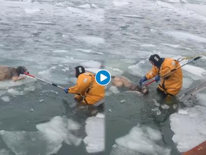 fire fighter saves dog from frozen river video goes viral on internet | Viral Video: जीवाची पर्वा न करता कुत्र्याला वाचवण्यासाठी पोलीस उतरला बर्फाने गोठलेल्या नदीत, अन् मग...