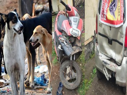 Woman seriously injured after two wheeler hits car due to fear of stray dogs in Satara | भटक्या कुत्र्यांच्या भीतीने दुचाकीची कारला धडक; महिला गंभीर जखमी, साताऱ्यातील घटना Woman seriously injured after two wheeler hits car due to fear of stray dogs in Satara | भटक्या कुत्र्यांच्या भीतीने दुचाकीची कारला धडक; महिला गंभीर जखमी, साताऱ्यातील घटना