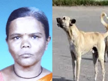 woman dies after being bitten by a crushed dog in Chandgad | Kolhapur: पिसाळलेला कुत्रा चावल्याने चंदगडच्या महिलेचा मृत्यू