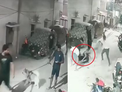 Video: Dog kept barking at passersby; gang beat owner with sticks | Video: कुत्रा येणाऱ्या-जाणाऱ्यांवर सतत भुंकायचा; टोळक्याने मालकालाच लाठ्या-काठ्यांनी बेदम चोपले... Video: Dog kept barking at passersby; gang beat owner with sticks | Video: कुत्रा येणाऱ्या-जाणाऱ्यांवर सतत भुंकायचा; टोळक्याने मालकालाच लाठ्या-काठ्यांनी बेदम चोपले...