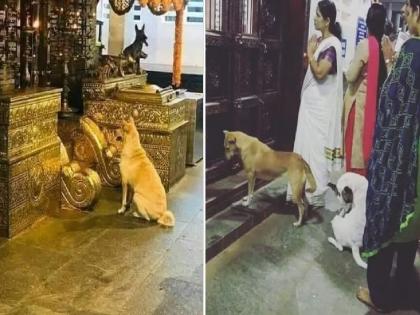 Muthappan Temple : Unique tradition in 'Muthappan Temple'; naming ceremony of dog | Muthappan Temple : 'या' मंदिराची अनोखी परंपरा; इथे होतं पाळीव कुत्र्याच नामकरण, जाणून घ्या कारण...