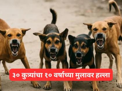 Karnataka: Stray dogs attack 10-year-old boy in Chikkaballapur | भयानक घटना! १० वर्षांच्या मुलावर ३० हून अधिक कुत्र्यांचा हल्ला, उपचार सुरू