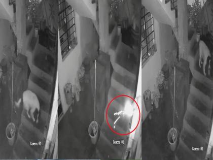 Dog Viral Video: held burning dynamite in mouth to save owner; watch video | हिरो डॉग! मालकाला वाचवण्यासाठी जळते डायनामाइट तोंडात धरले अन्..; Video पाहून भावूक झाले लोक Dog Viral Video: held burning dynamite in mouth to save owner; watch video | हिरो डॉग! मालकाला वाचवण्यासाठी जळते डायनामाइट तोंडात धरले अन्..; Video पाहून भावूक झाले लोक