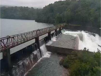 Heavy rain in Kolhapur; An automatic gate of Radhanagari Dam opens | कोल्हापुरात दमदार पाऊस; राधानगरी धरणाचा एक स्वयंचलित दरवाजा उघडला