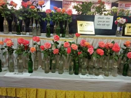 Dombivli State level rose display | डोंबिवलीत राज्यस्तरीय गुलाब प्रदर्शन, गुलाबप्रेमी सेल्फी काढण्यात दंग