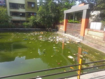 sewage sewage mixed in milap nagar lake stinks the lake is on the verge of extinction | मिलापनगर तलावात गटाराचे सांडपाणी मिसळल्याने दुर्गंधी, तलाव नामशेष होण्याच्या मार्गावर!