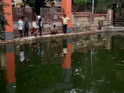 Illegal fishing in Milapnagar lake | मिलापनगर तलावात अवैध्य मासेमारी