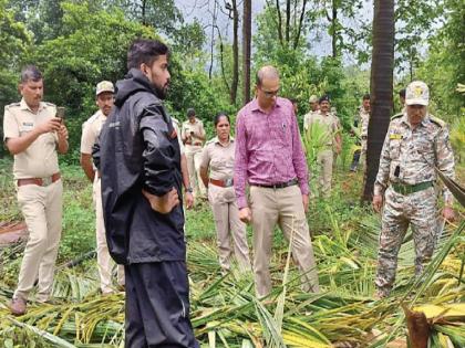 Catch the elephants that are damaging the farm, The demand of the elephant disaster victims to the conservator of forests | Sindhudurg: 'सायबानू काय ता करा; पण हत्तींका धरा ', हत्तीआपद्ग्रस्तांची उपवनसंरक्षकांना आर्त साद