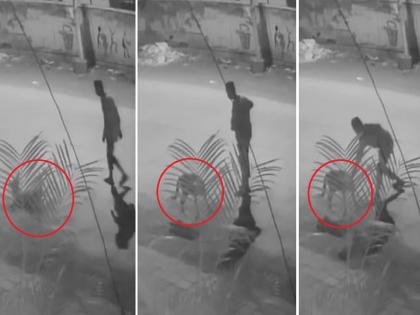 Video: Stray dog stabbed to death; Outrageous incident in Chhatrapati Sambhajinagar | Video: भटक्या श्वानाची चाकूने भोसकून हत्या; छत्रपती संभाजीनगरमधील संतापजनक घटना