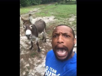 Donkey singing The Lion King theme song with his owner video viral | Video : गाढवाने मालकाच्या सुरात मिसळला सूर, व्हिडीओ पाहून हैराण झाले लोक!