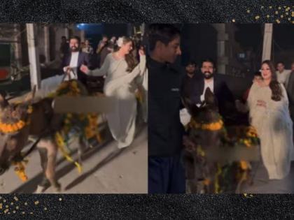 pakistani bride groom making entry on donkey in viral wedding Video | नाद खुळा! ना घोडा, ना कार... थेट गाढवावरून नवरा-नवरी आले लग्नमंडपात; Video व्हायरल