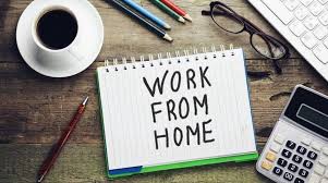 Order of 'Work from Home' in Zilla Parishad now | जिल्हा परिषदेत आता ‘वर्क फ्रॉम होम’ चे आदेश