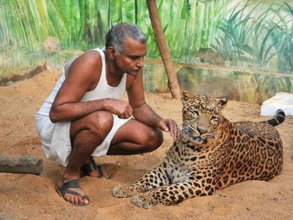 Dr. Prakash Baba Amte's health improved; Discharge next week | डॉ. प्रकाश बाबा आमटे यांच्या प्रकृतीत सुधारणा; पुढील आठवड्यात डिस्चार्ज