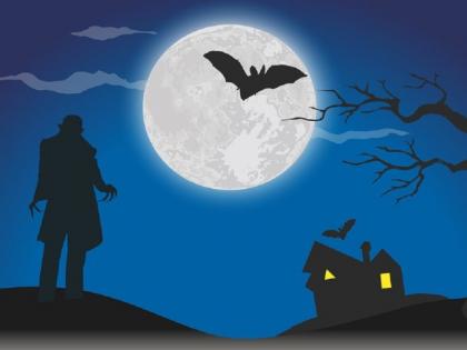'या' महिलेमुळे जगभरात पसरला टायफॉइडचा ताप, अशाच १० आश्चर्यकारक गोष्टी ज्या वाचून व्हाल अवाक्...
