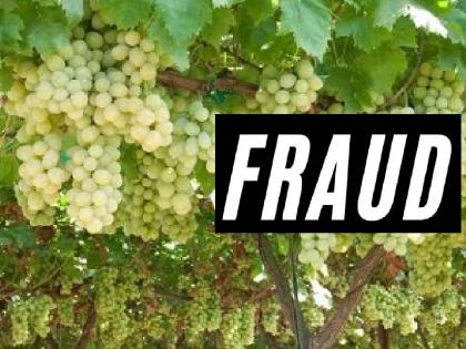 57 lakhs to a grape trader in Sangli, two suspects are from Gujarat | सांगलीतील द्राक्ष व्यापाऱ्याला ५७ लाखांचा गंडा, संशयित दोघे गुजरातचे 