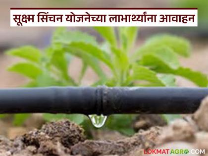 सूक्ष्म सिंचन योजनेच्या लाभासाठी अर्ज सादर करा, 25 टक्क्यांपासून 90 टक्क्यांपर्यंत अनुदान सूक्ष्म सिंचन योजनेच्या लाभासाठी अर्ज सादर करा, 25 टक्क्यांपासून 90 टक्क्यांपर्यंत अनुदान