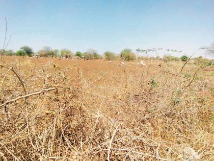 Drought in Marathawada : sister let taste salty water yourself ! | Drought In Marathawada : ‘ताई, तुमीबी बगा की खारं पाणी कसं लागतंय ते!