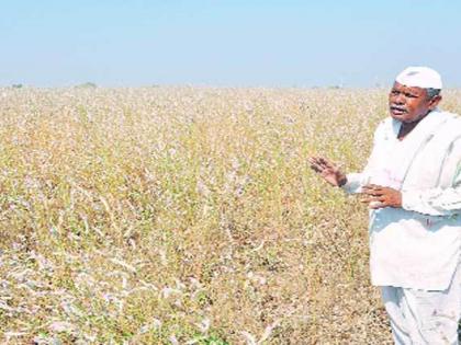 Drought package help to 1.5 lakh farmer's account | दुष्काळी पॅकेजची मदत दीड लाख शेतकऱ्यांच्या खात्यात