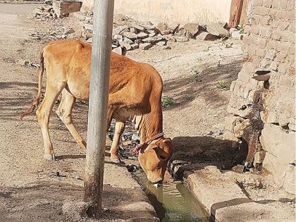 Give equal water in eight days, turn off tanker; Mayor's ultimatum to municipality administration | आठ दिवसांत समान पाणी द्या, टँकर बंद करा; महापौरांचा निर्वाणीचा इशारा