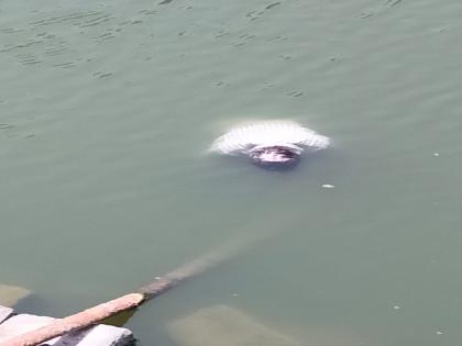 One drowned in Someshwar lake at Panhala fort | पन्हाळा गडावरील सोमेश्वर तलावात बुडून एकाचा मृत्यू