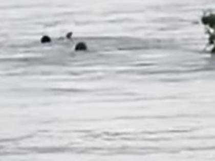 Two washed away in Muchkundi river one rescued, search for the other underway | Ratnagiri: मुचकुंदी नदीत दोघे वाहून गेले; एक बचावला, दुसऱ्याचा शोध सुरु Two washed away in Muchkundi river one rescued, search for the other underway | Ratnagiri: मुचकुंदी नदीत दोघे वाहून गेले; एक बचावला, दुसऱ्याचा शोध सुरु