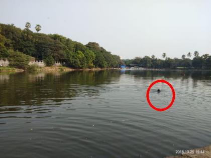 One person lost in a small Kashmir lake in Goregaon | गोरेगाव येथील छोटा काश्मीरच्या तलावात एक जण बुडाला