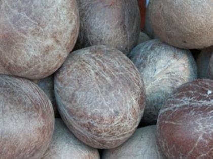 Action of FDA: Rs. 45 lakhs of coconuts seized | एफडीएची कारवाई : ४५ लाख रुपयांचे खोबरे, विलायची जप्त